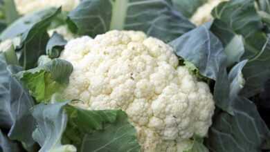 cauliflower, vegetables, food