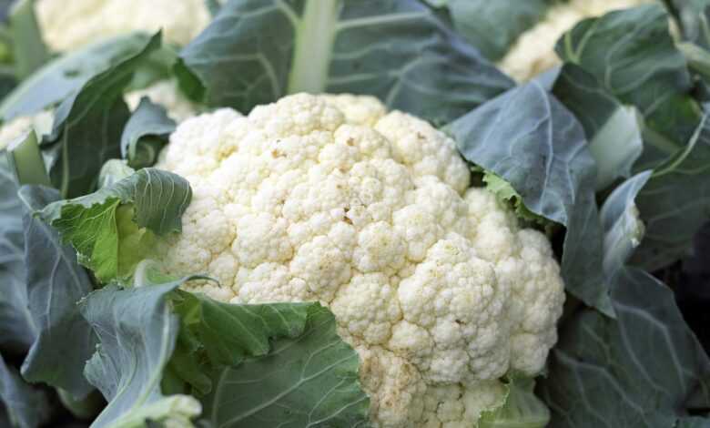 cauliflower, vegetables, food