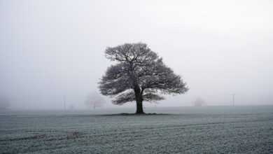 English Countryside