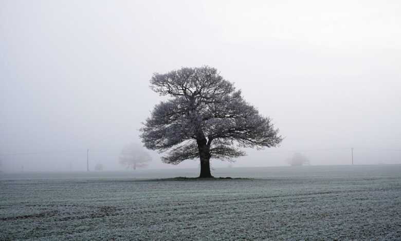 English Countryside