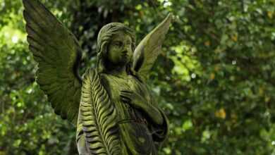 angel, statue, calculus, cemetery, figure, angel protector, rest, sadness