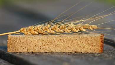 bread, wheat, ears of corn