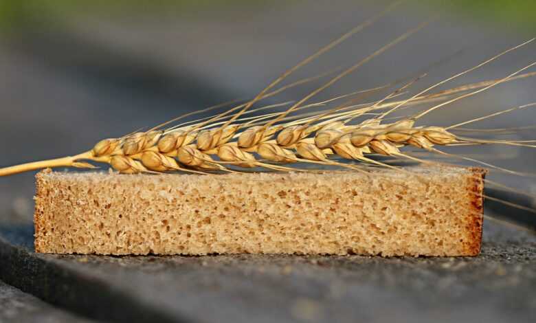 bread, wheat, ears of corn