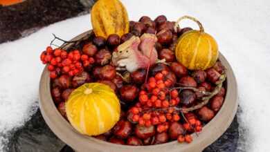 Bowl with Fall Fruits on Winter Ground