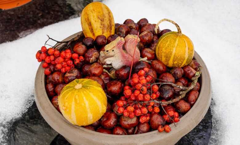 Bowl with Fall Fruits on Winter Ground