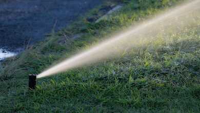 water, nature, watering, garden, summer, irrigation