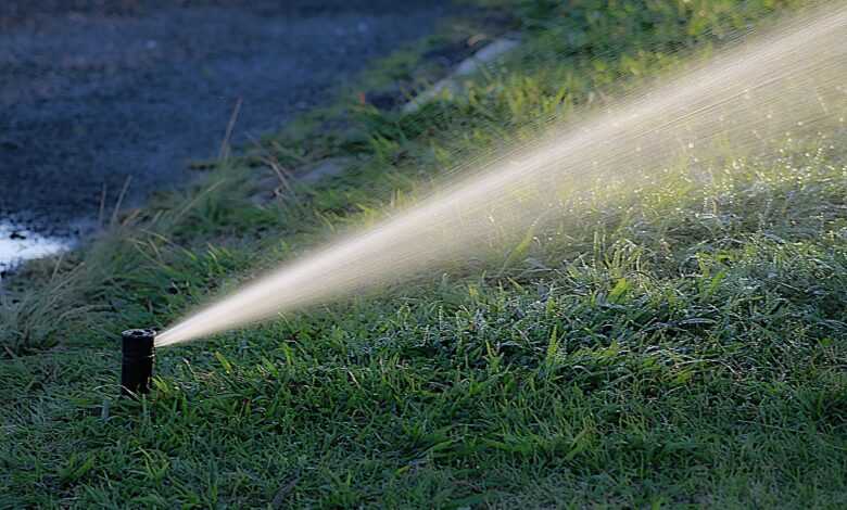 water, nature, watering, garden, summer, irrigation