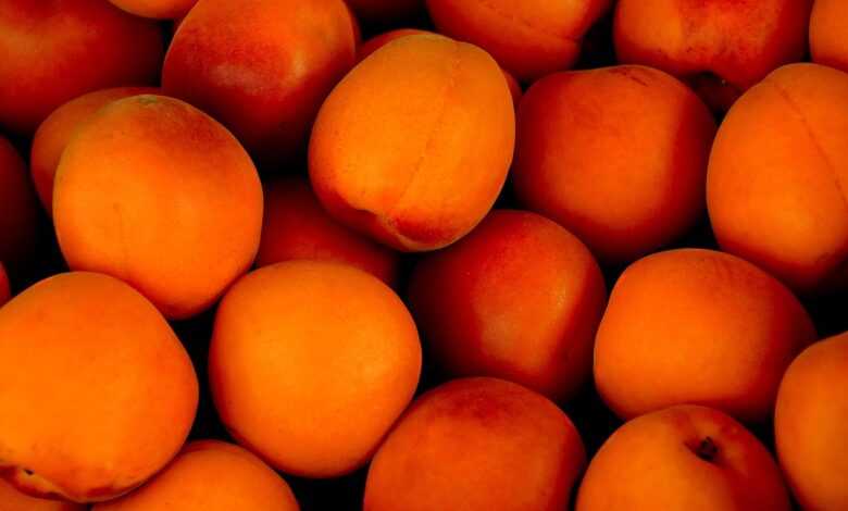 apricots, tropical fruits, fruits, fresh, fresh apricots, ripe, ripe apricots, fresh fruits, ripe fruits, harvest, produce, organic, farmer's market, fruit stand, healthy, sweet, eat, vitamins, still life, food, apricots, apricots, apricots, apricots, apricots, fruits, still life, still life, still life, still life