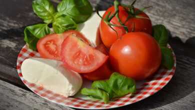 tomatoes, caprese, mozzarella, basil, tomato and mozzarella salad, starter, fresh, mediterranean, red, meal, healthy, salad, nourishment, italian, italy, tomatoes, salad, salad, salad, salad, salad, italy