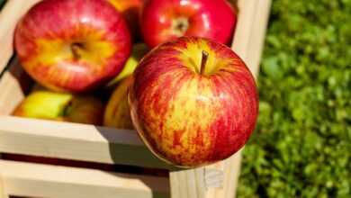 apple, red, fruits