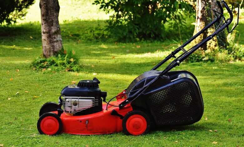 lawn mower, nature, gardening, mow, cut grass, grassy area, garden, cut the lawn, technology, to cut, lawn, green, basket, meadow, lawn mower, lawn mower, lawn mower, lawn mower, lawn mower