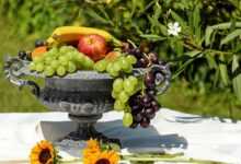 bowl of fruit, shell, nature, fruit, healthy, food, summer