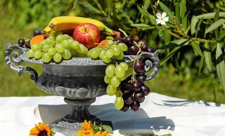 bowl of fruit, shell, nature, fruit, healthy, food, summer