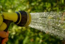 watering, water jet, gardener, watering, water jet, water jet, water jet, gardener, gardener, gardener, gardener, gardener
