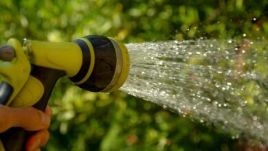 watering, water jet, gardener, watering, water jet, water jet, water jet, gardener, gardener, gardener, gardener, gardener