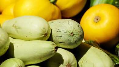 zucchinis, vegetables, fresh