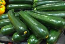 zucchini, green, vivid