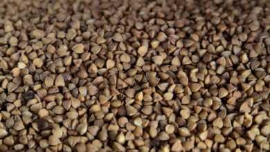 buckwheat, cereals, diet, diet food, food, buckwheat, buckwheat, buckwheat, buckwheat, buckwheat