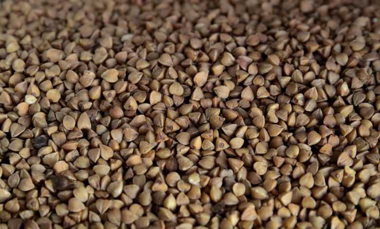buckwheat, cereals, diet, diet food, food, buckwheat, buckwheat, buckwheat, buckwheat, buckwheat