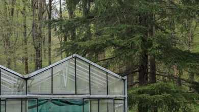 A man is sitting in a greenhouse with a face on it