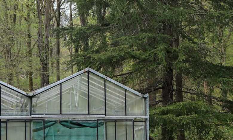 A man is sitting in a greenhouse with a face on it