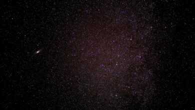 starry sky, stars, galaxies, constellations, night sky, milky way, stargazing, cosmos, space, space art, starry night, stars, stars, stars, night sky, night sky, space, space, space, space, space