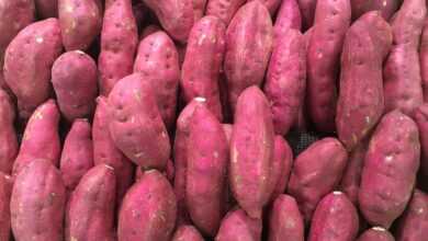 sweet potato, red-purple, pile