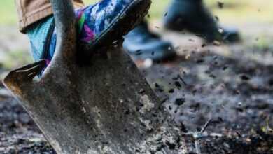 Vibrant close-up of a shovel with colorful shoe digging in the soil, outdoors.