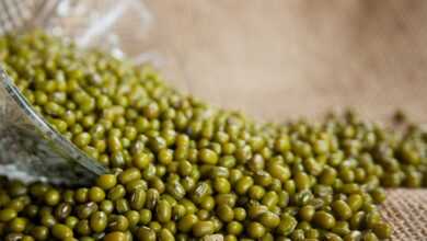 mung beans, vigna radiata, moong bean