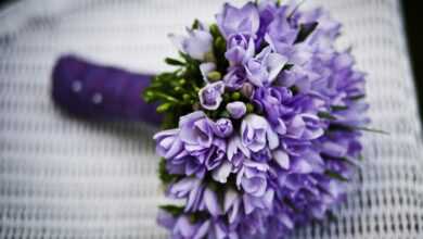 bouquet, flowers, nature