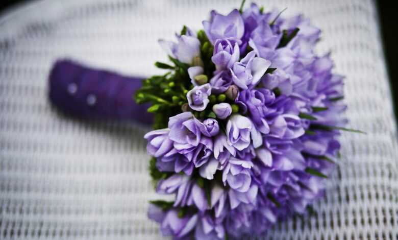 bouquet, flowers, nature