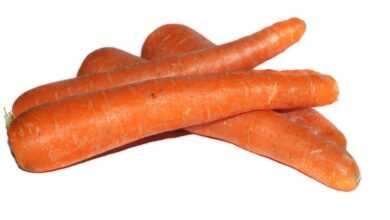 carrot, carrots, plant, nature, isolated