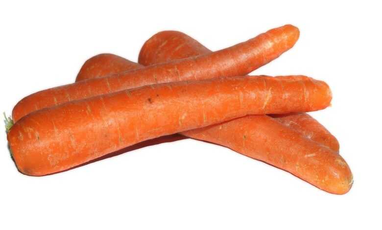 carrot, carrots, plant, nature, isolated