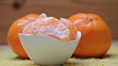 mandarins, citrus plant, fruit