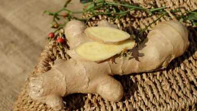 ginger, ingber, immerwurzel, root, sharp, seasoning, food, medicinal plant, healthy, ginger, ginger, ginger, ginger, ginger