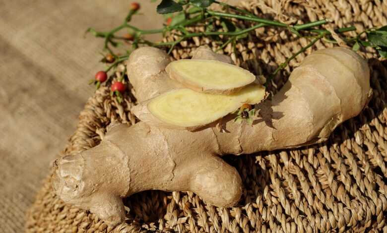 ginger, ingber, immerwurzel, root, sharp, seasoning, food, medicinal plant, healthy, ginger, ginger, ginger, ginger, ginger
