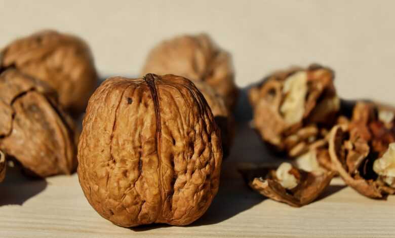 walnuts, shell, nut