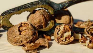 walnut, nut, brown, nuts, food, healthy, nutcracker, crack, to open, shell, nut kernel, meal, walnut, walnut, walnut, walnut, walnut, nut, nuts