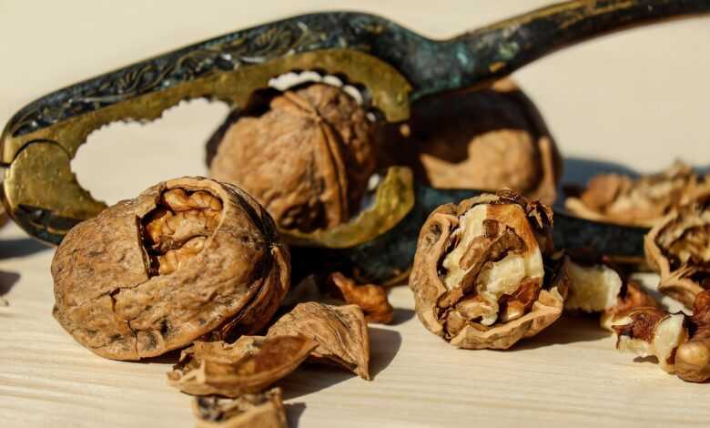 walnut, nut, brown, nuts, food, healthy, nutcracker, crack, to open, shell, nut kernel, meal, walnut, walnut, walnut, walnut, walnut, nut, nuts