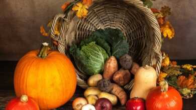 pumpkin, vegetables, autumn