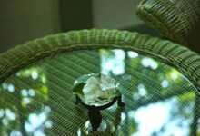 floating flower, flowers, table, rattan furniture, nature, reflection, table, rattan furniture, flower background, rattan furniture, rattan furniture, flower wallpaper, beautiful flowers, rattan furniture, rattan furniture