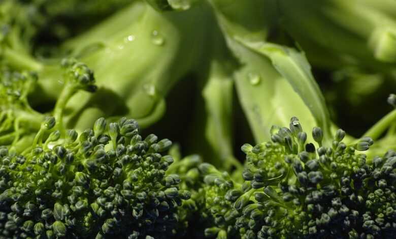 broccoli, organic, food