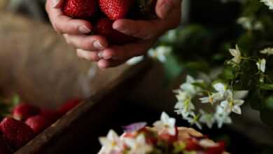 Close-up of hands holding strawberries over a cream-topped cake with flowers, showcasing fresh ingredients.