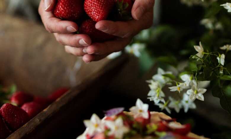 Close-up of hands holding strawberries over a cream-topped cake with flowers, showcasing fresh ingredients.