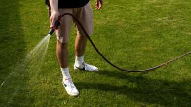 Legs of a Man Watering Plants in the garden