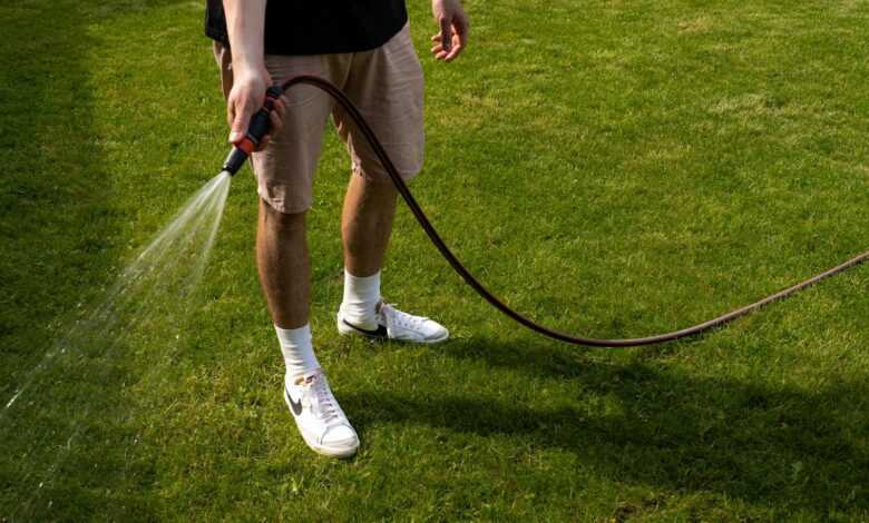 Legs of a Man Watering Plants in the garden