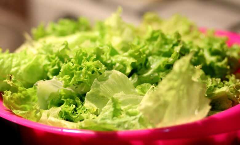 food, salad, lettuce