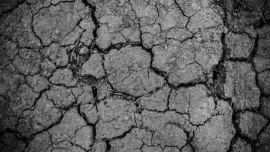 ground, gray, dirt, drought, arid, texture, land, dry, soil, crack, cracked, erosion, dirty, rough, desert, dust, surface, nature, clay, barren, gray texture, gray desert, monochrome, black and white