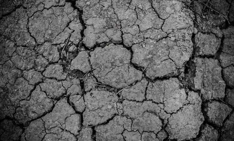 ground, gray, dirt, drought, arid, texture, land, dry, soil, crack, cracked, erosion, dirty, rough, desert, dust, surface, nature, clay, barren, gray texture, gray desert, monochrome, black and white