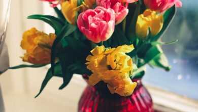 vase, flowers, flower background